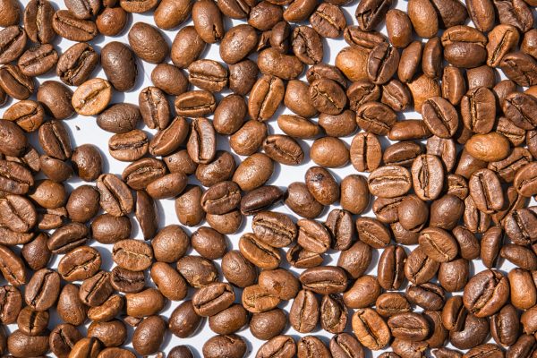frisch gerösteter Kaffee